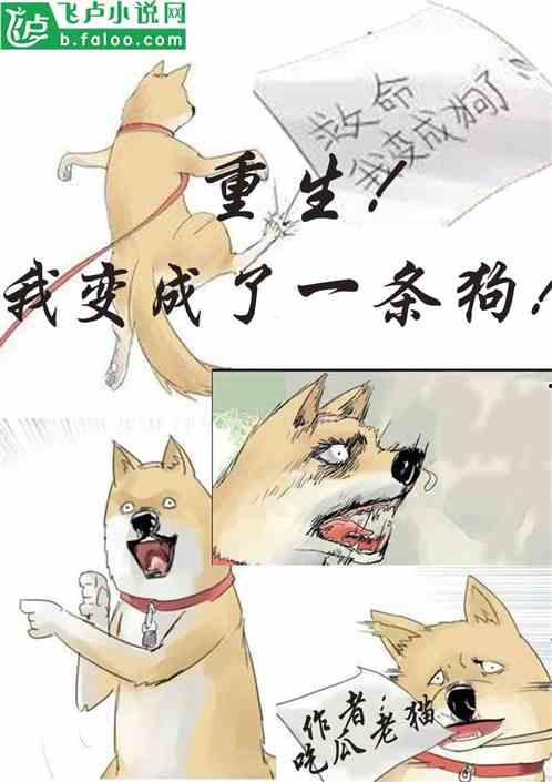 摸鱼吃瓜小说免费阅读,免费畅读摸鱼吃瓜小说